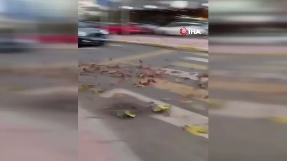Sakarya’da Şiddetli Fırtına